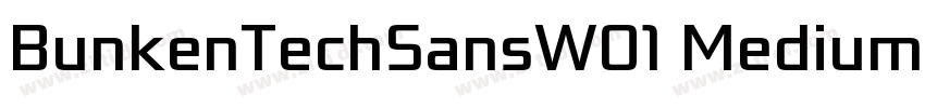BunkenTechSansW01 MediumIt字体转换 BunkenTechSansW01 MediumIt字体转换